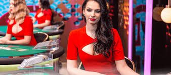 k8vina