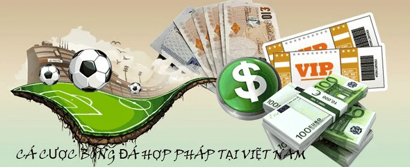 Cá độ bóng đá hợp pháp tại Việt Nam