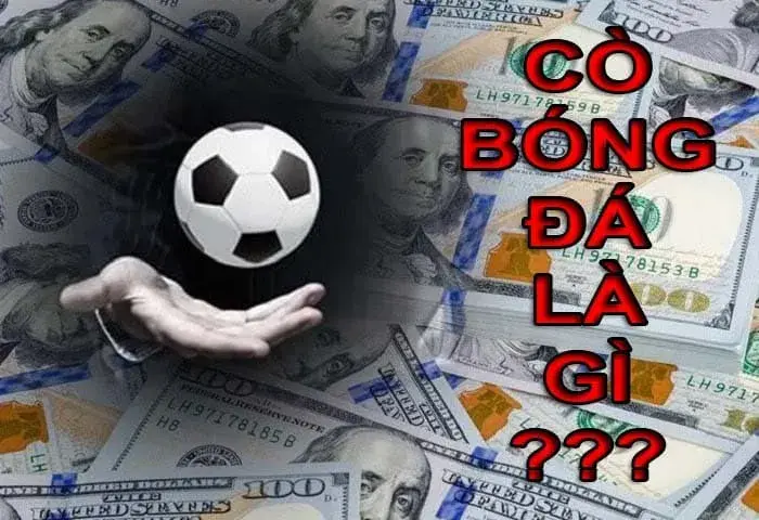 Cò bóng đá là gì