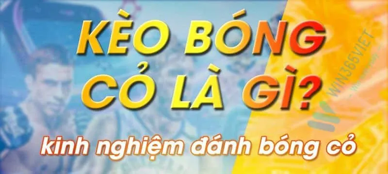 Kinh nghiệm đánh bóng cỏ hiệu quả