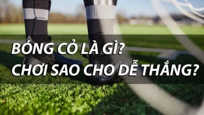 Tại sao nên chọn đánh bóng cỏ