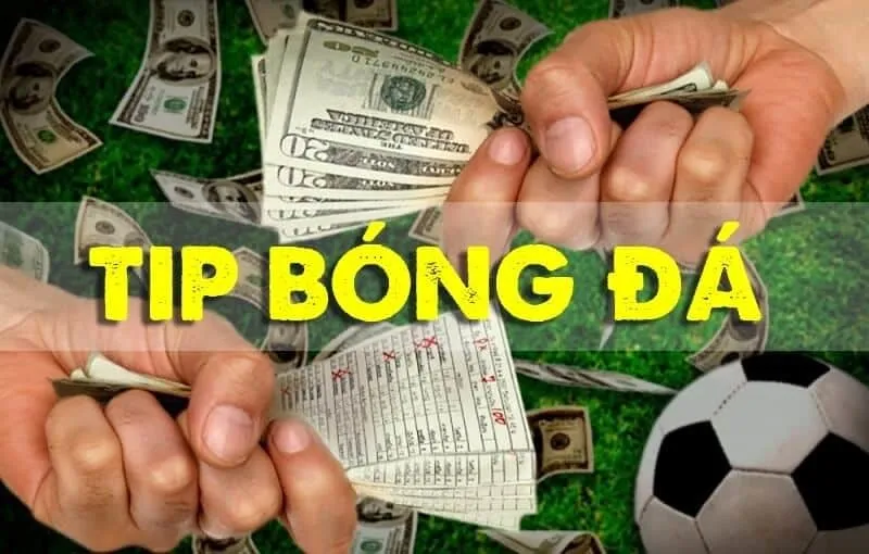 Tip bóng đá là gì 