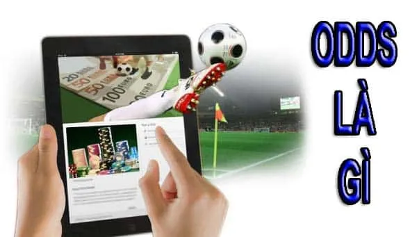 Tỷ lệ odds k8 là gì