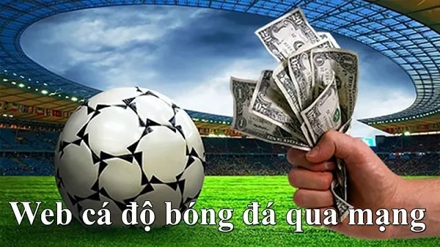 Cá độ bóng đá qua mạng 